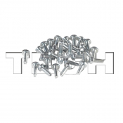 BOX OF 10 SERVICE SCREWS - T10