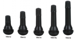 Schrader B Line Tyre Valves