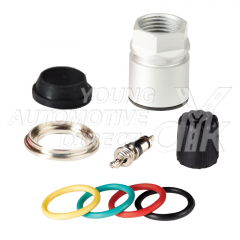 TPMS Service Kits